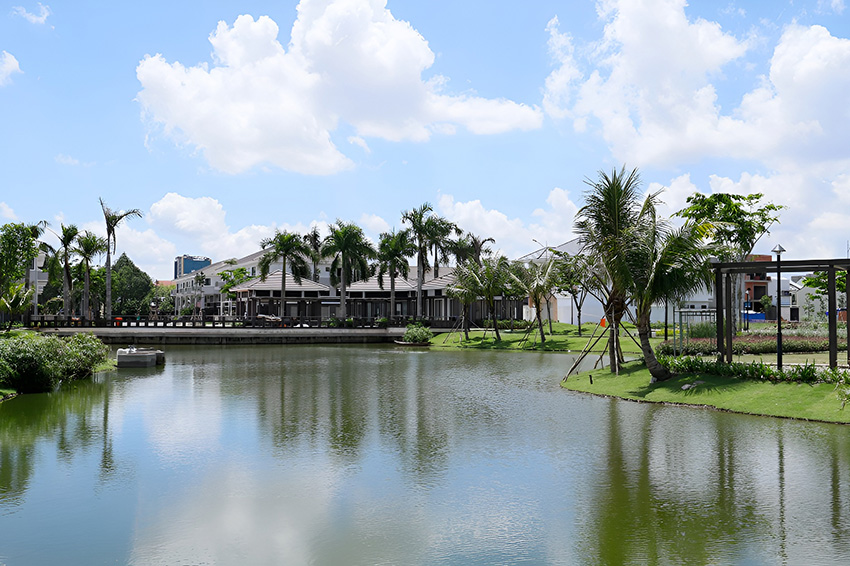 Dalia Garden