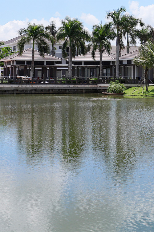 Dalia Garden