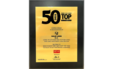 Vietnam's Best Performing Companies 2021