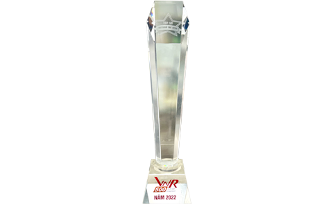 Top 50 Vietnam Best Growth 2022